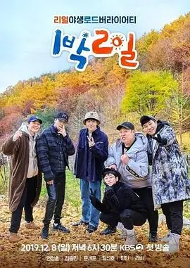 风筝音乐节 综艺 2026